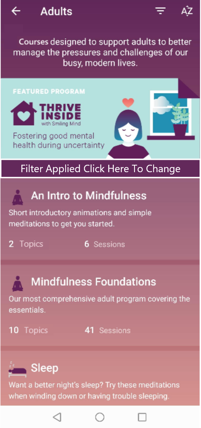 Filter status display