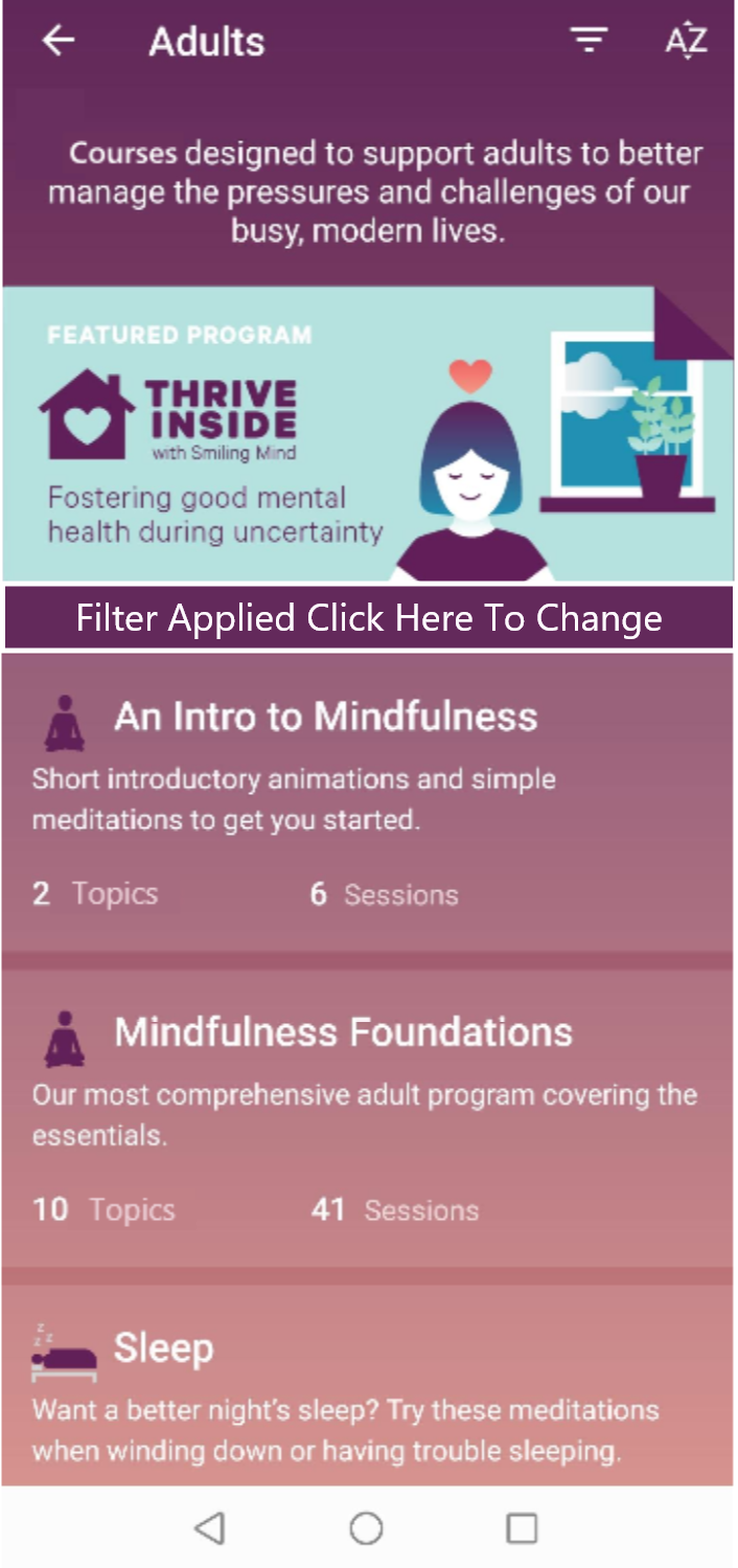 Filter status display