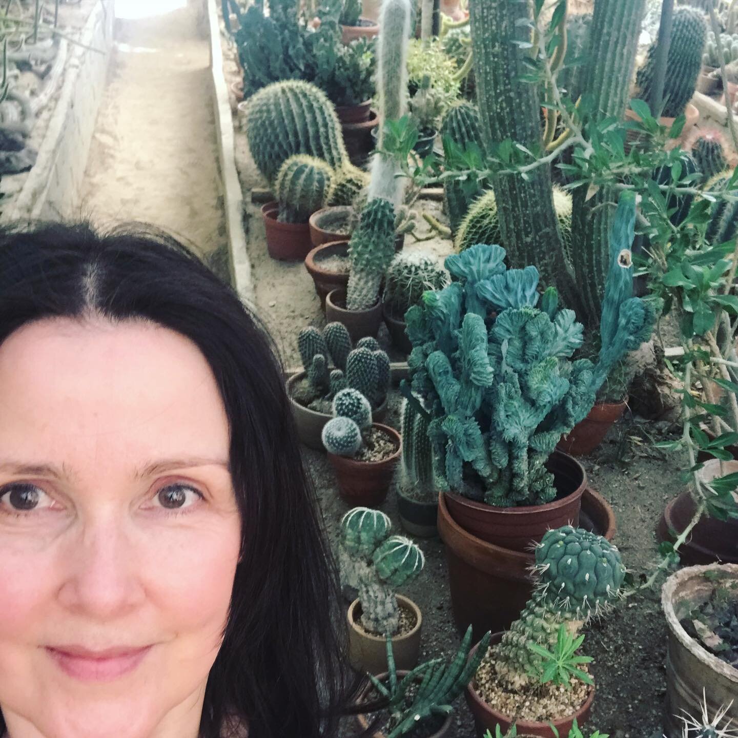 In California for a few days with my sister to attend Coachella and couldn&rsquo;t resist popping in to the wonderful Moorten&rsquo;s cactarium, which would be Susan Green&rsquo;s idea of paradise on earth 🌵🌺☀️
#thecactus #moortenbotanicalgarden