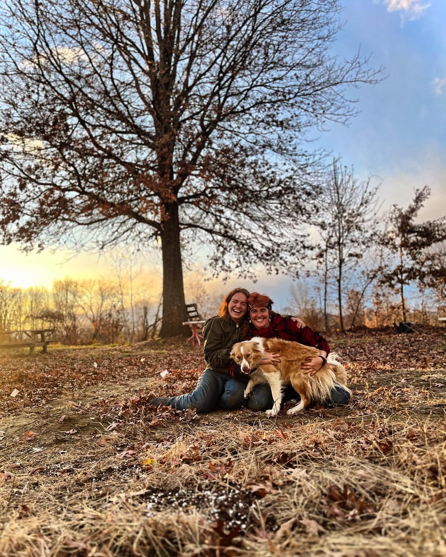 Oh The dog days of November&hellip;
These three holdin&rsquo; down the fort for the beginning of this week. 💓