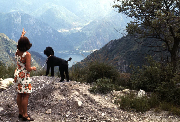 Gisteren is vandaag - Studio Winter