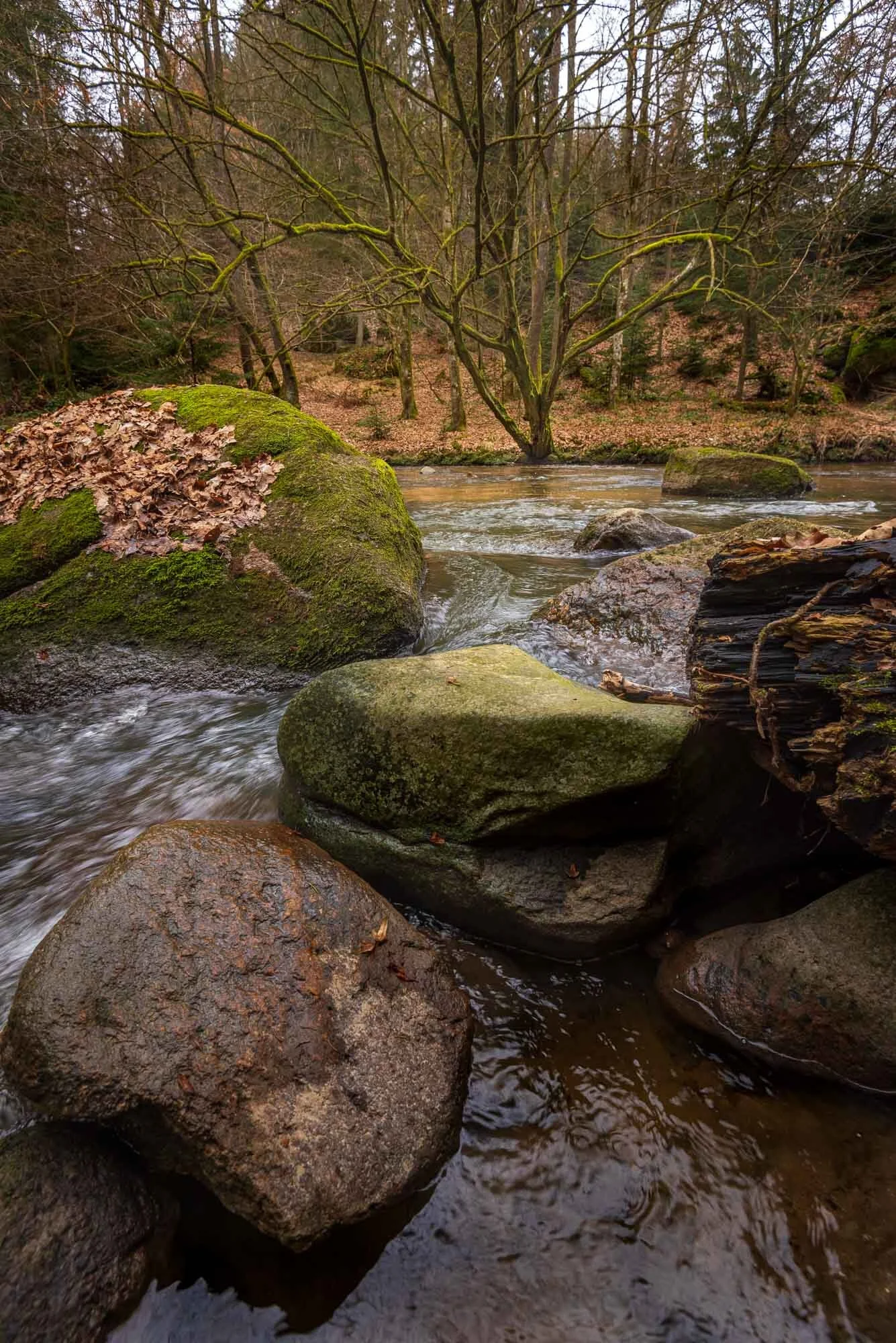 Kriehmühle Waldfotografie-2.jpg