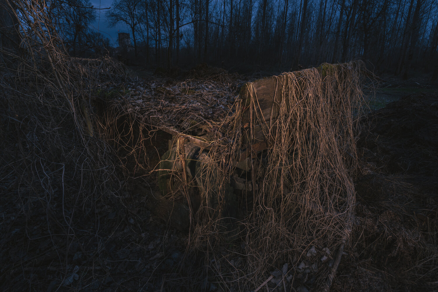 Verfallene Anhänger in der Au-4008-Bearbeitet.jpg