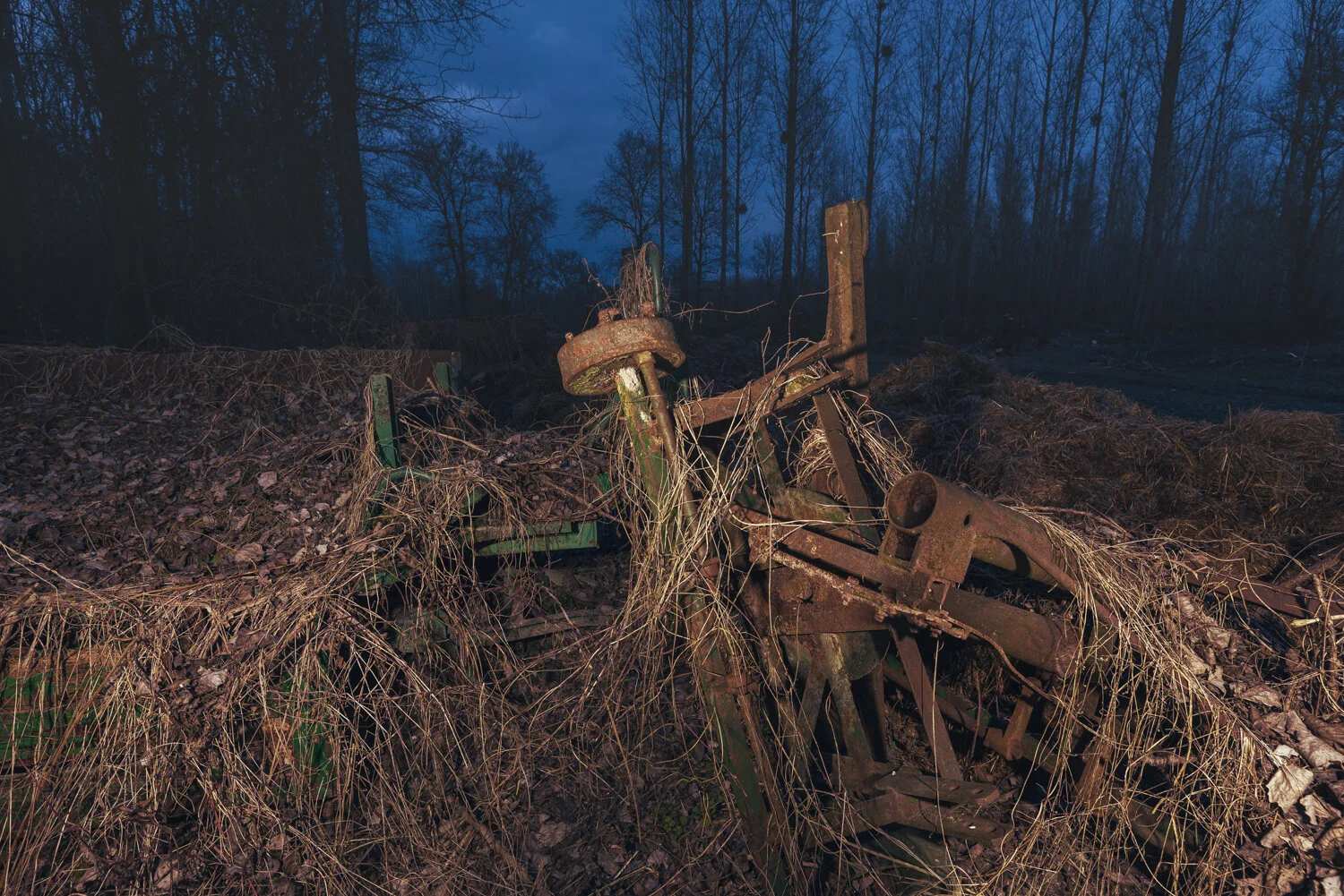 Verfallene Anhänger in der Au-4019-Bearbeitet.jpg