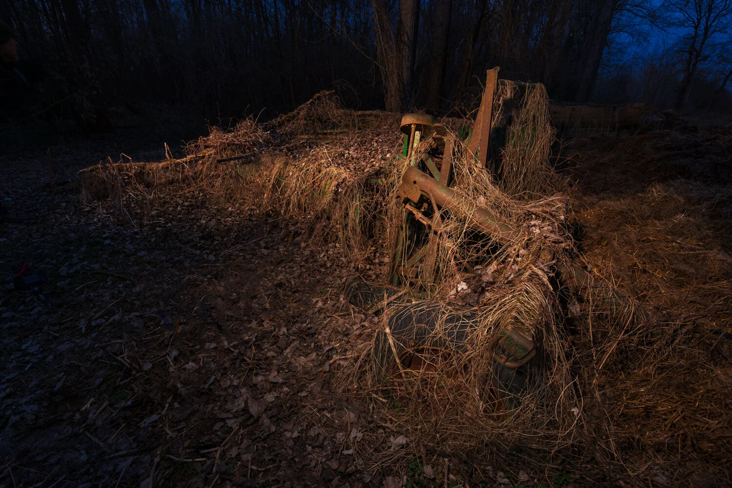 Verfallene Anhänger in der Au-4024-Bearbeitet-2.jpg