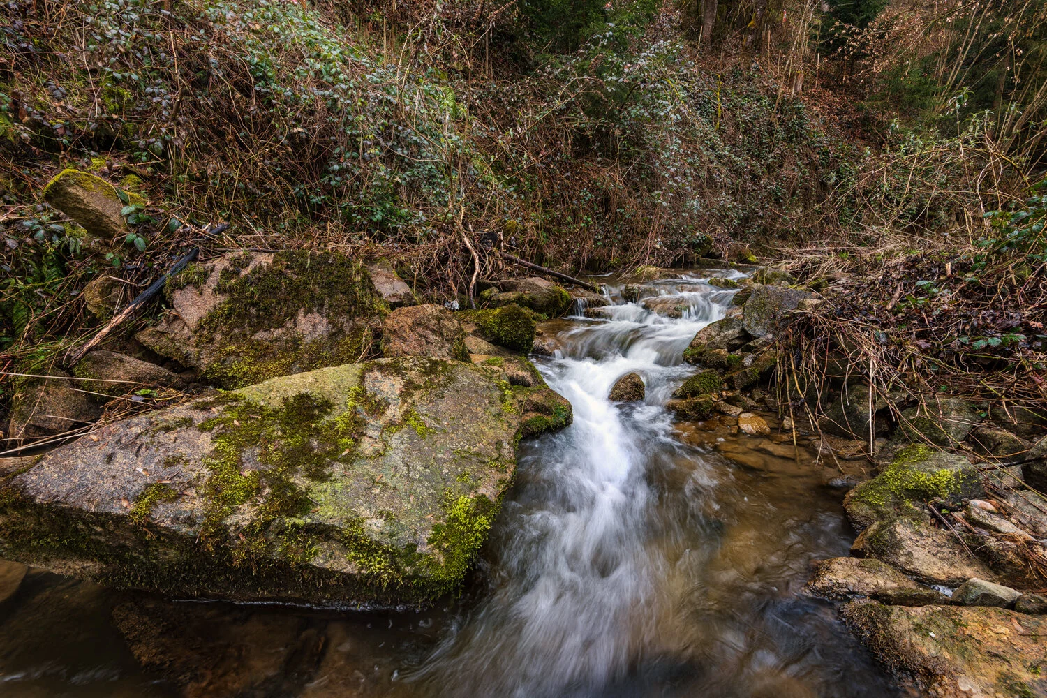 Wienergraben Wasser und alte Mauern-4035-Bearbeitet.jpg