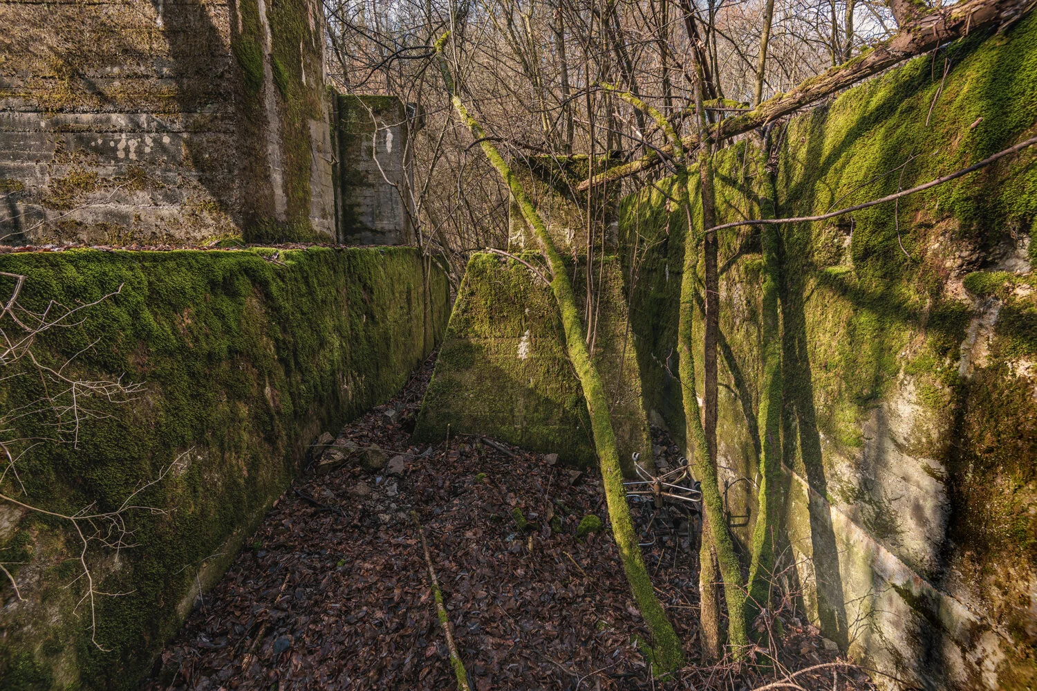 Wienergraben Wasser und alte Mauern-4045-Bearbeitet.jpg