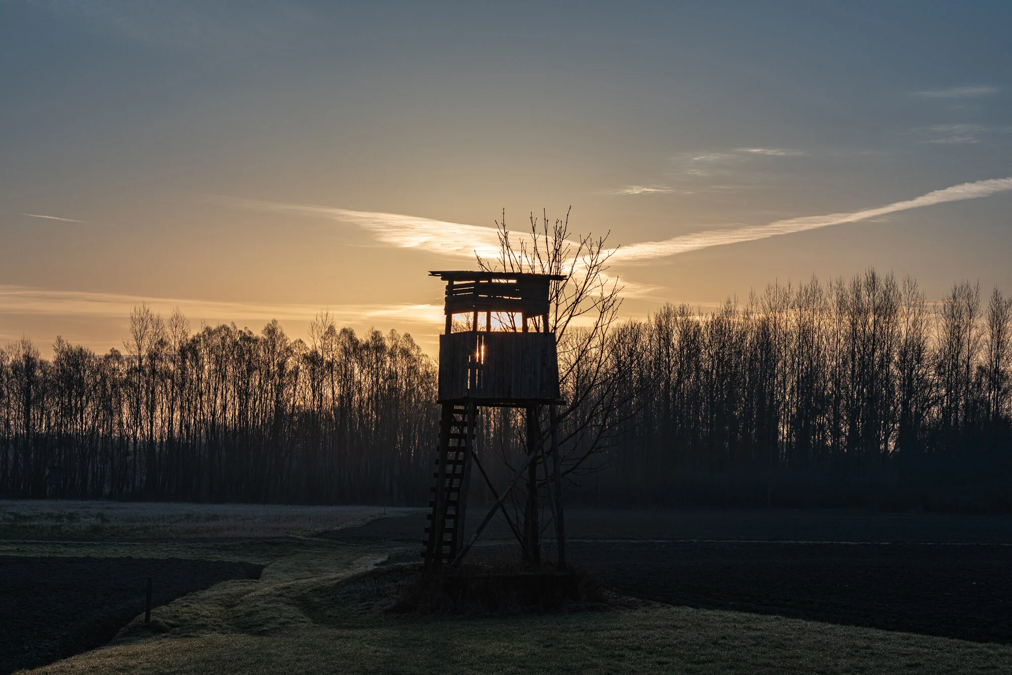 Wildlifefotografie mit 200mm-4237.jpg