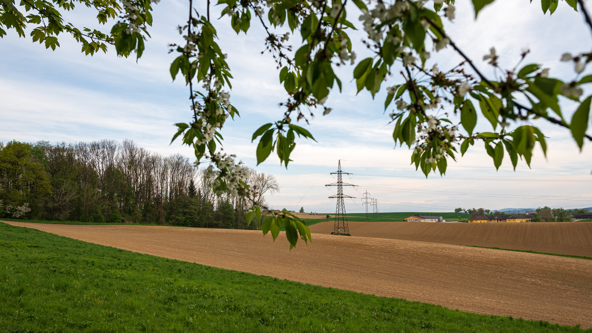 Fotofrühling in Mauthausen-9678.jpg