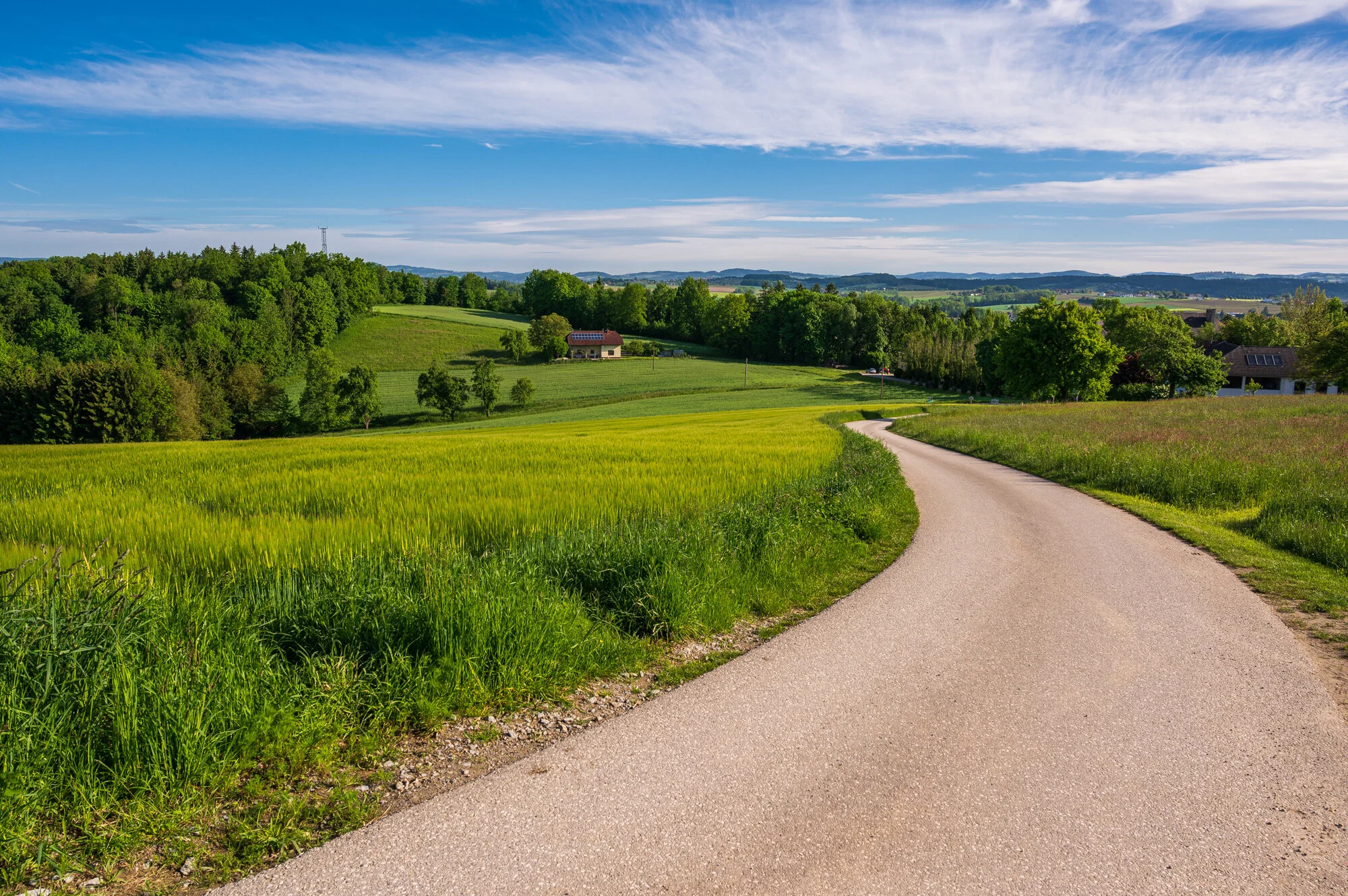 Frühling pur in Mauthausen-0711-4.jpg
