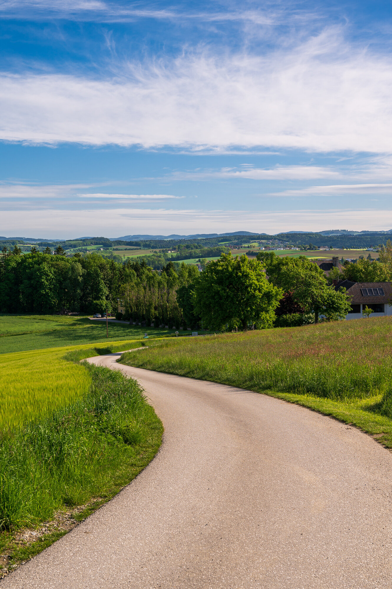 Frühling pur in Mauthausen-0721-2-2.jpg