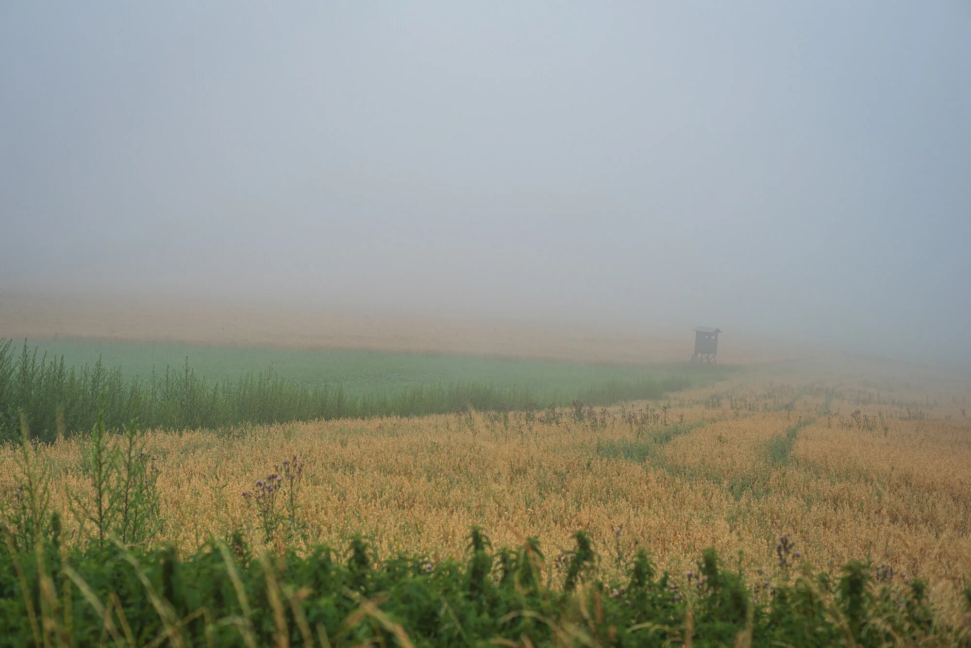 Minimalismus mit 50mm-6560-2.jpg