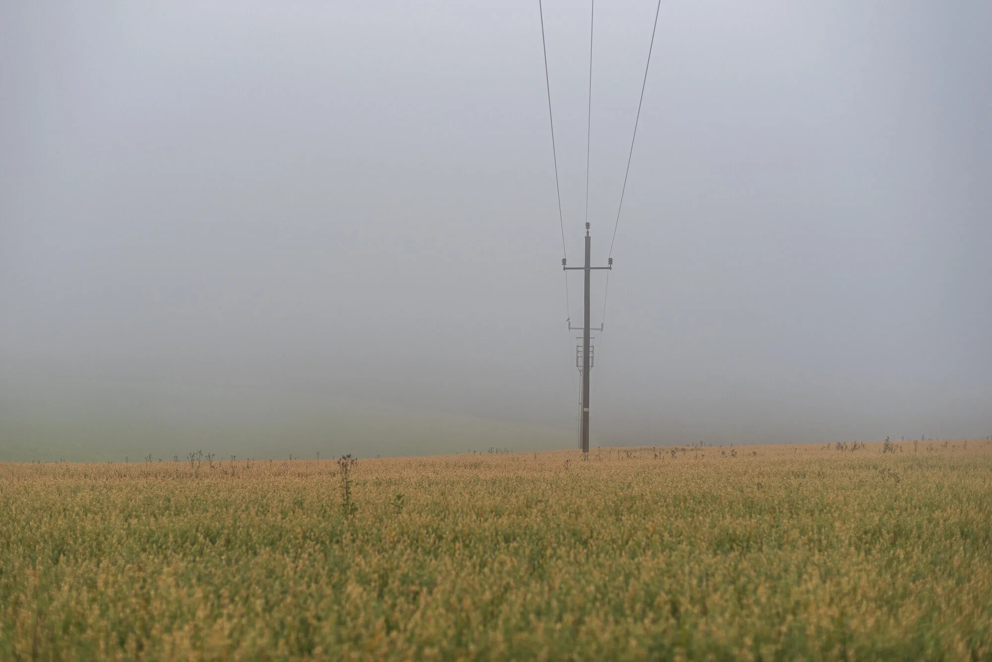 Minimalismus mit 50mm-6569-4.jpg