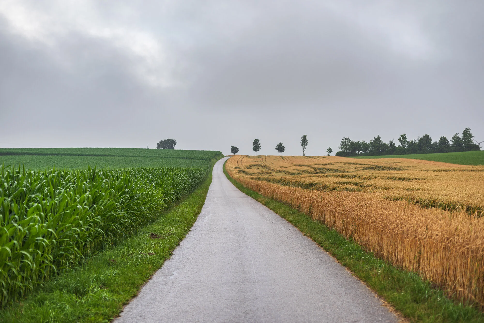 Minimalismus mit 50mm-6572-1.jpg