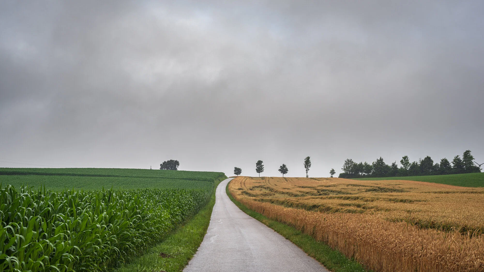 Minimalismus mit 50mm-6583-3.jpg