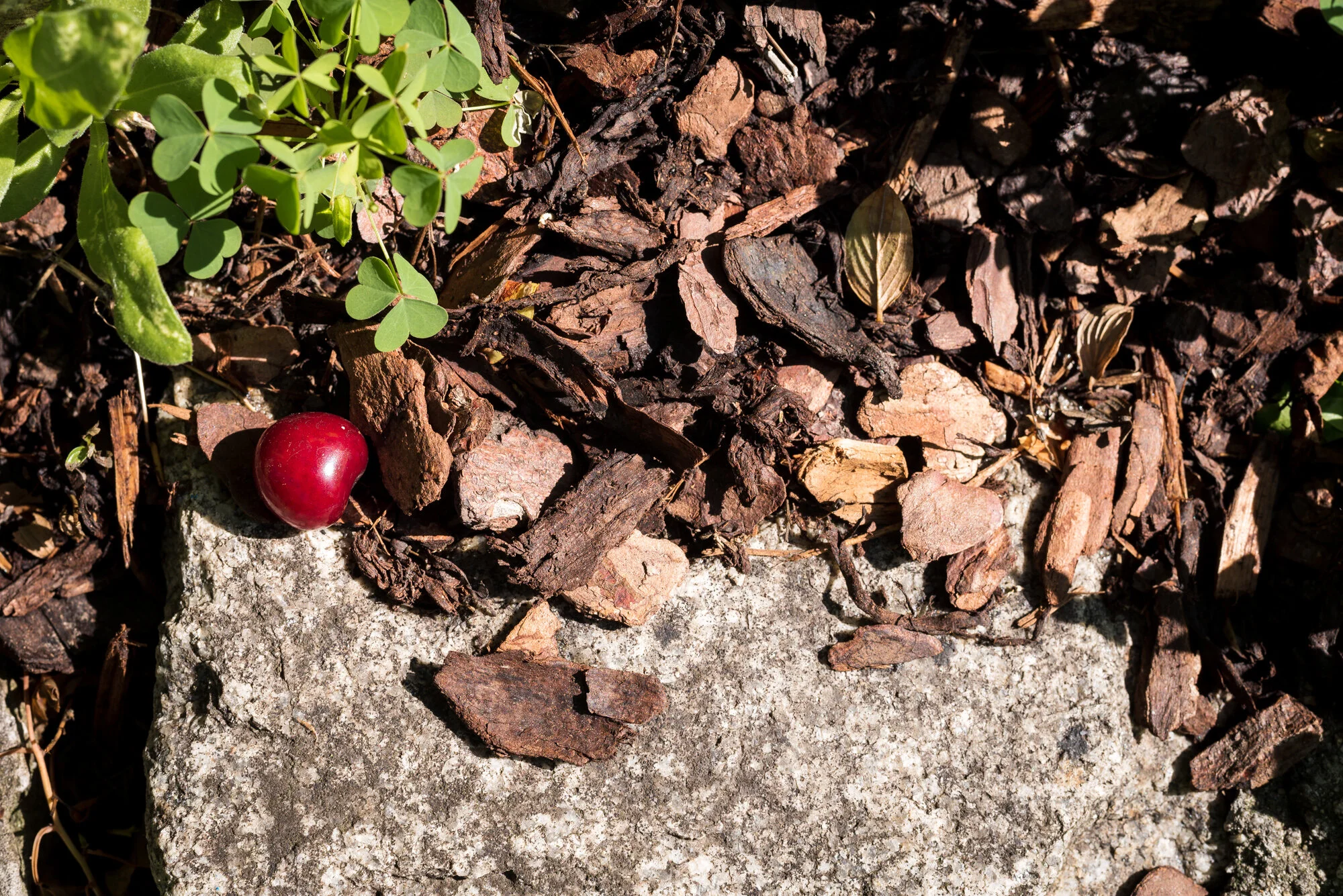 Minimalistische Fotografie mir 50 mm-6644-2.jpg