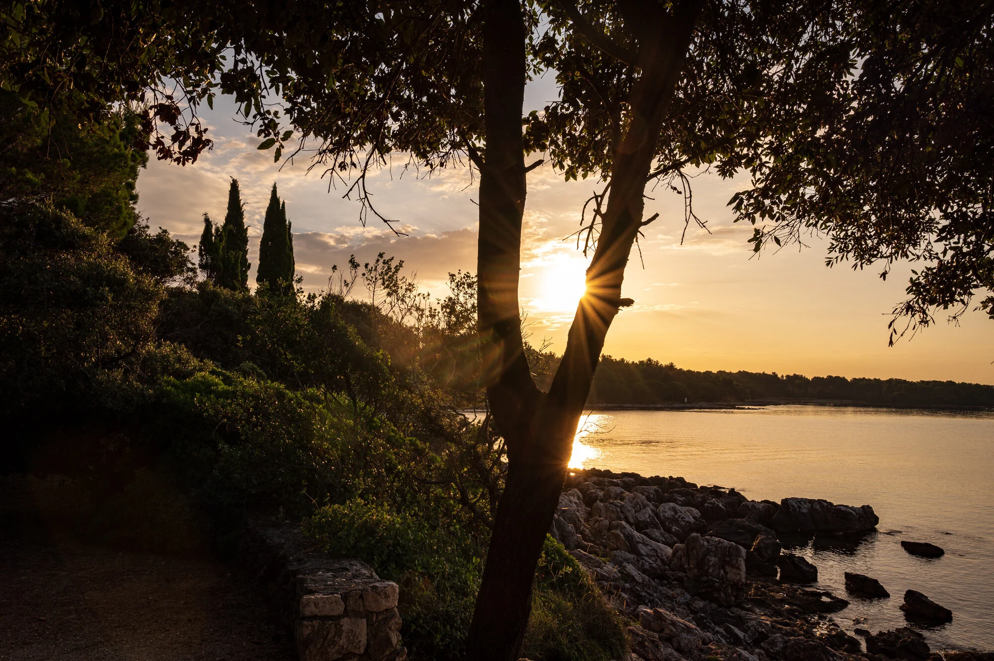 Rovinj 2021-1870-1.jpg