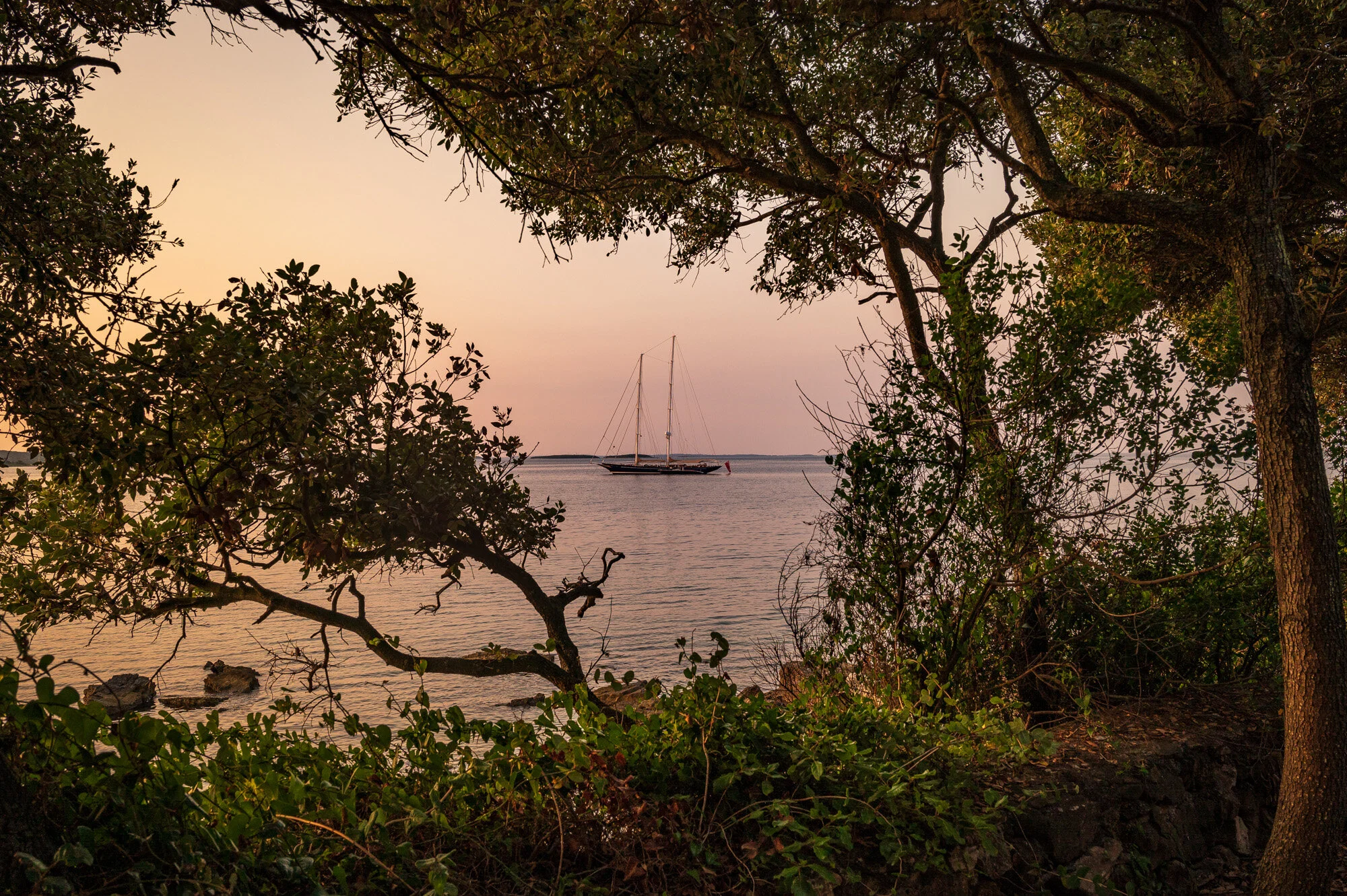 Rovinj 2021-1898-5.jpg