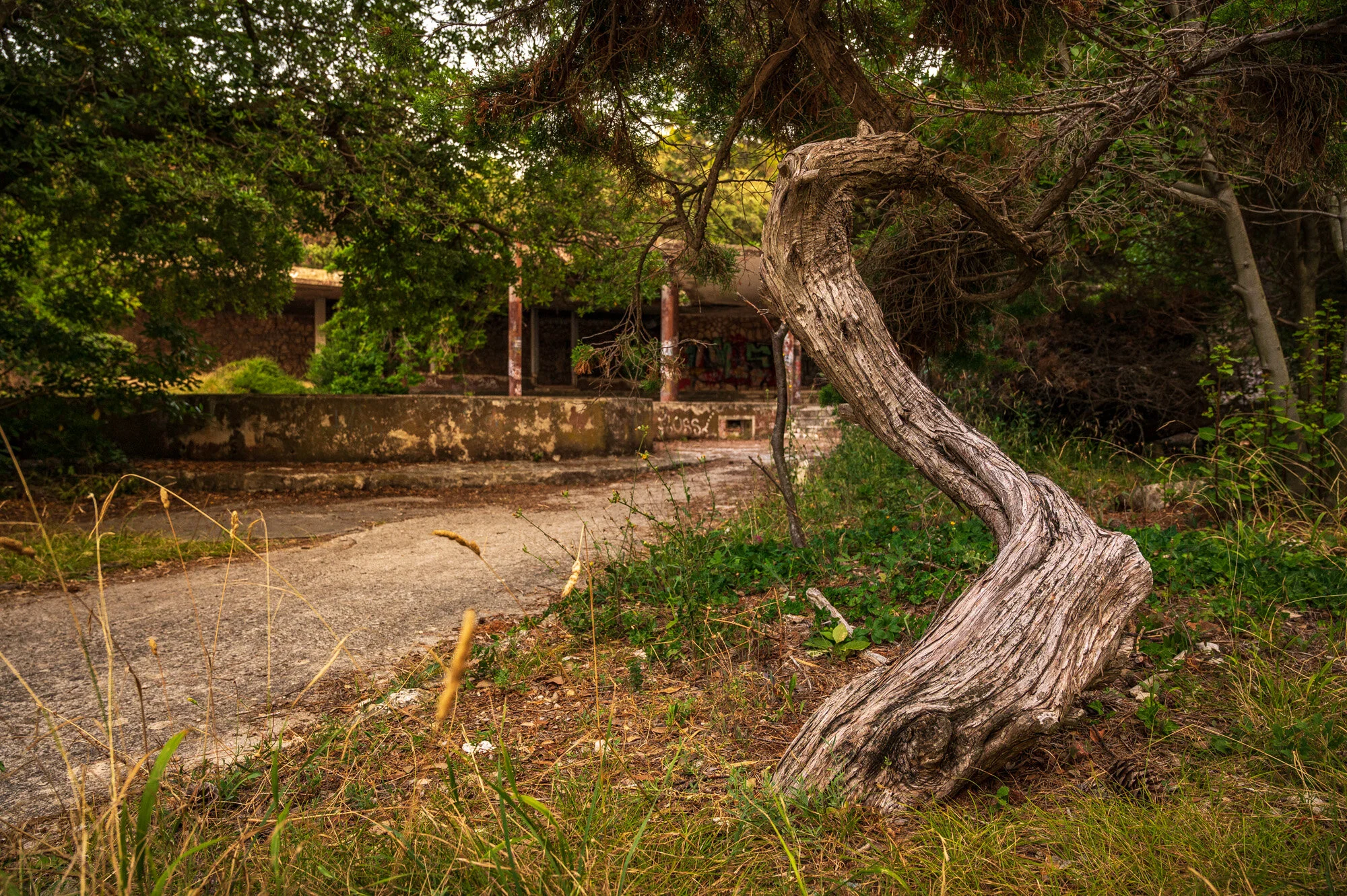 Rovinj 2021-1913-2.jpg