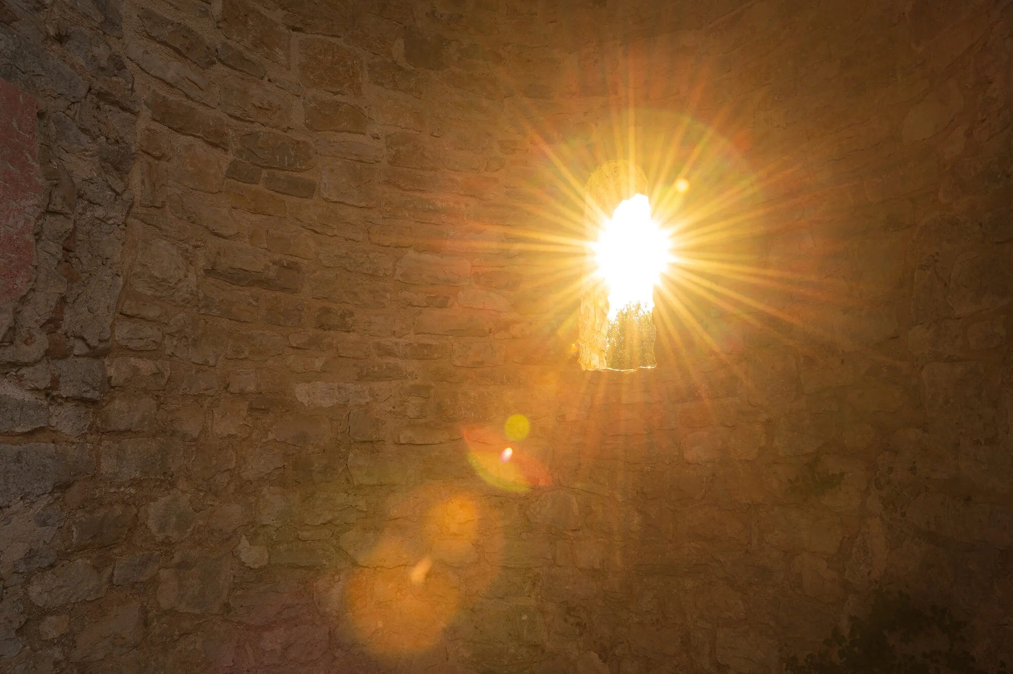 Rovinj 2021-1995-3.jpg