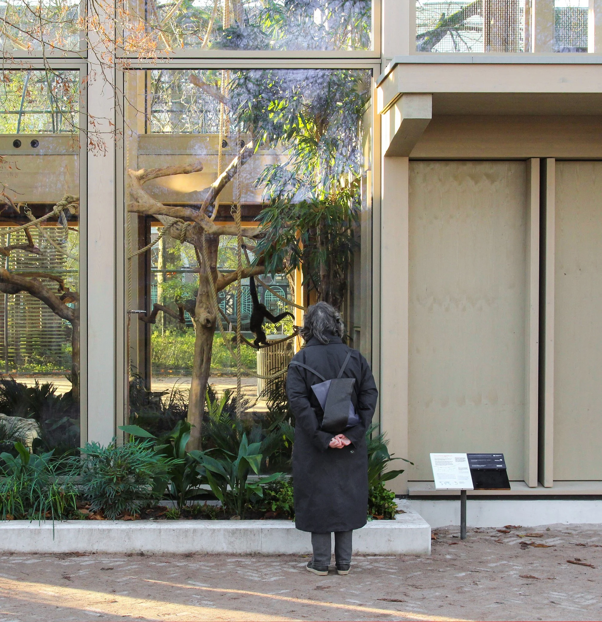 12 ATELIERFRONT ARTIS Amsterdam web 2000px.jpg