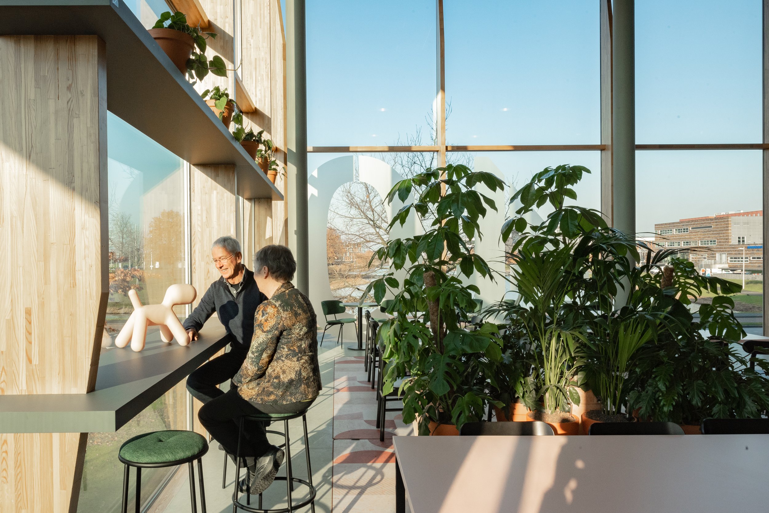 Jonge Hond ATELIER FRONT (2).jpg