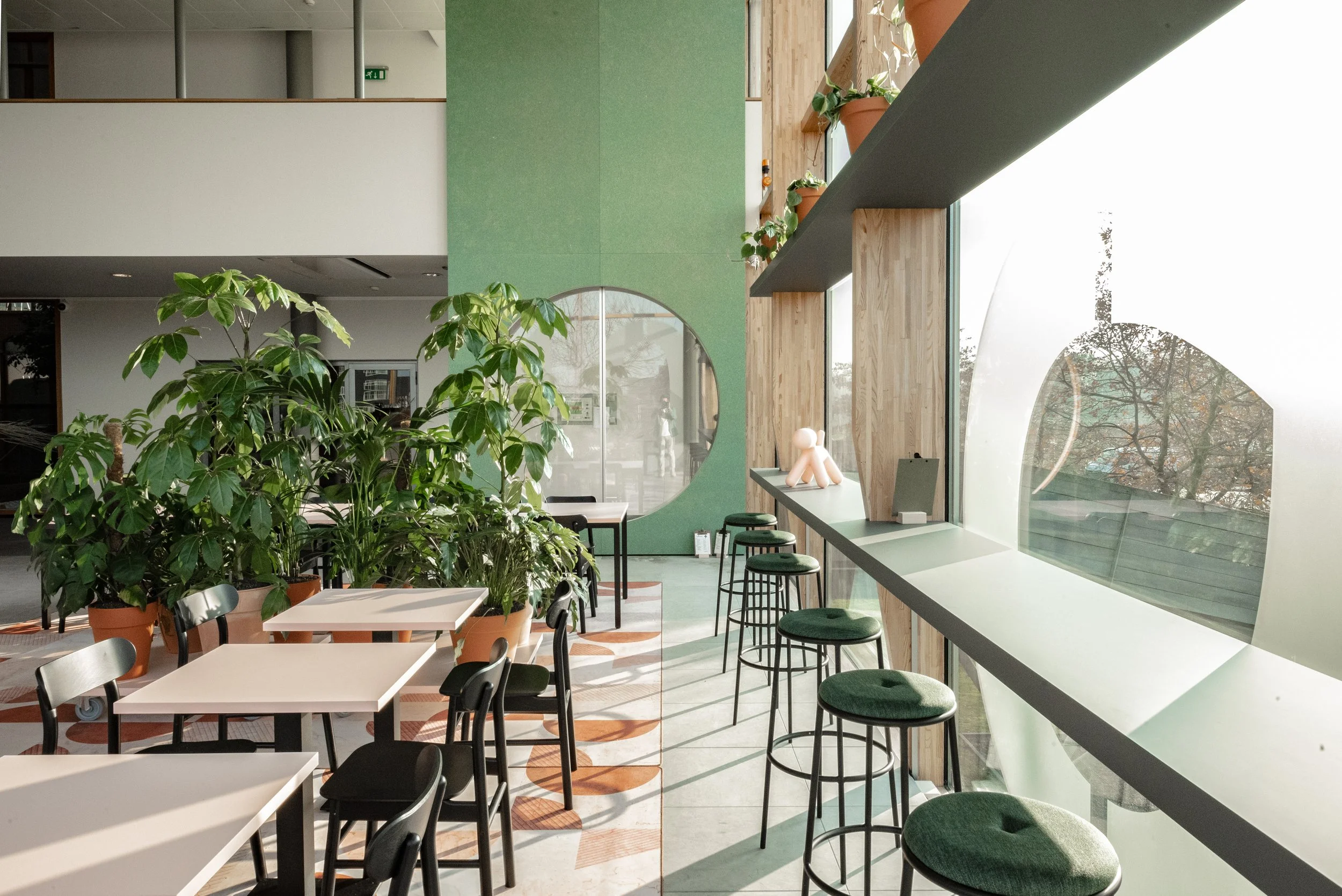 Jonge Hond ATELIER FRONT (12).jpg