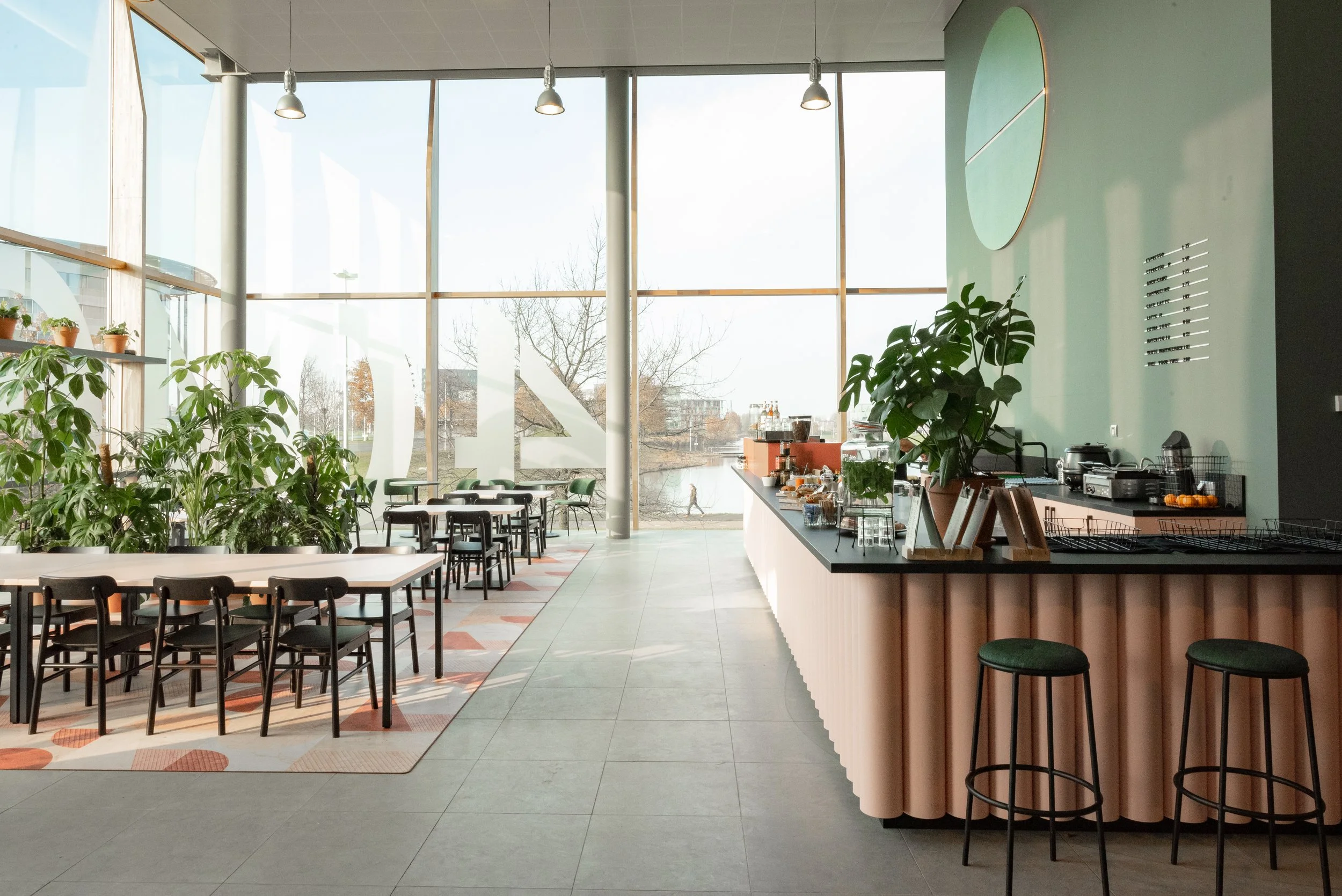 Jonge Hond ATELIER FRONT (13).jpg