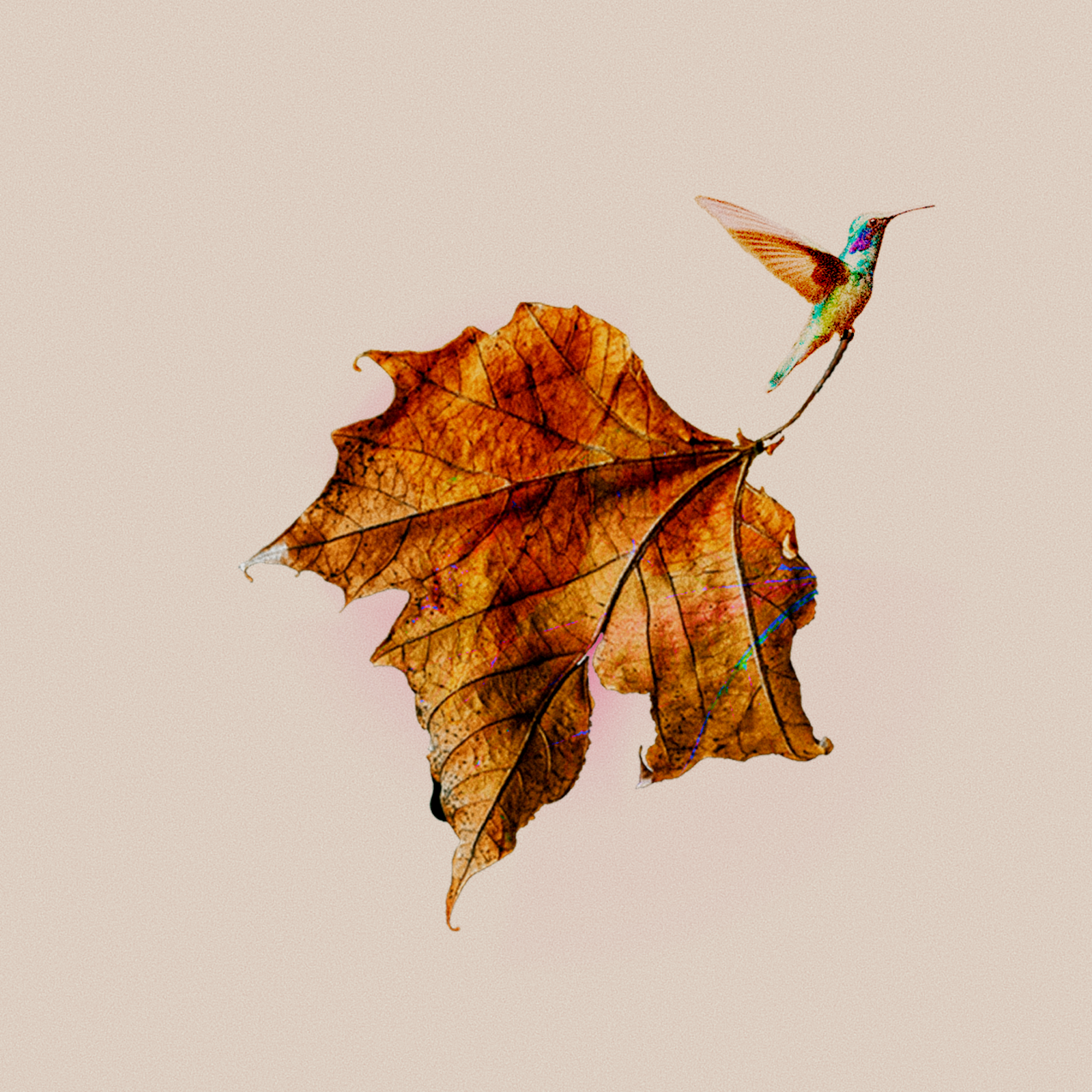 I let the poems have you (Artwork).png