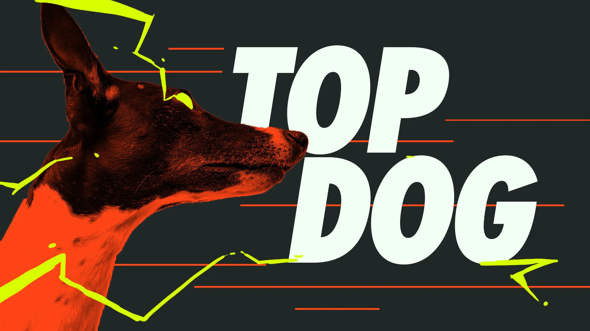 TOPDOG_SPARK_yellow.jpg