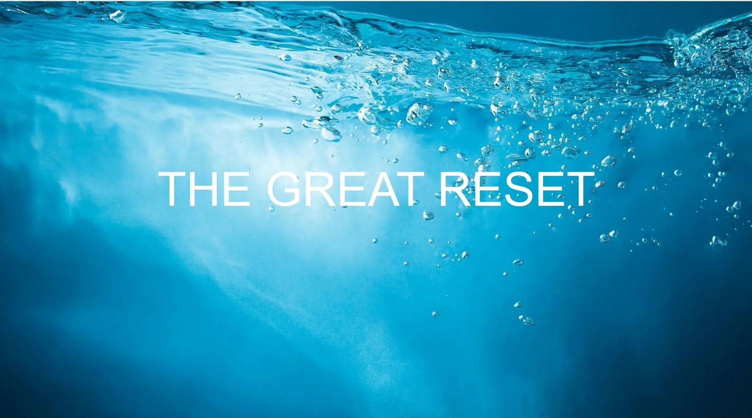 The Great Reset Part 1: Genesis 6 episode artwork