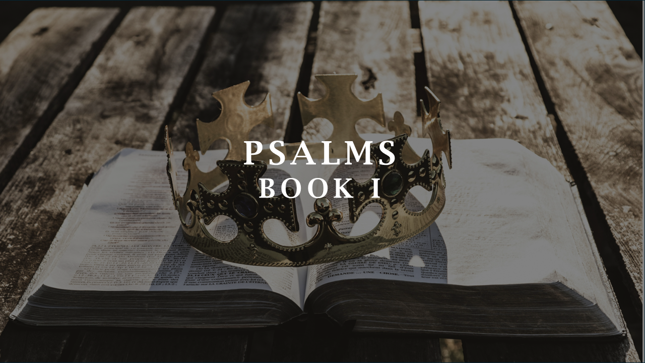 Blessed is the One - Psalm 1 episode artwork