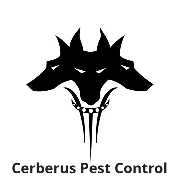 0adc4968-d4e8-4a4b-b59a-11d912b1dc28sdfgasfg - Copy.jpg