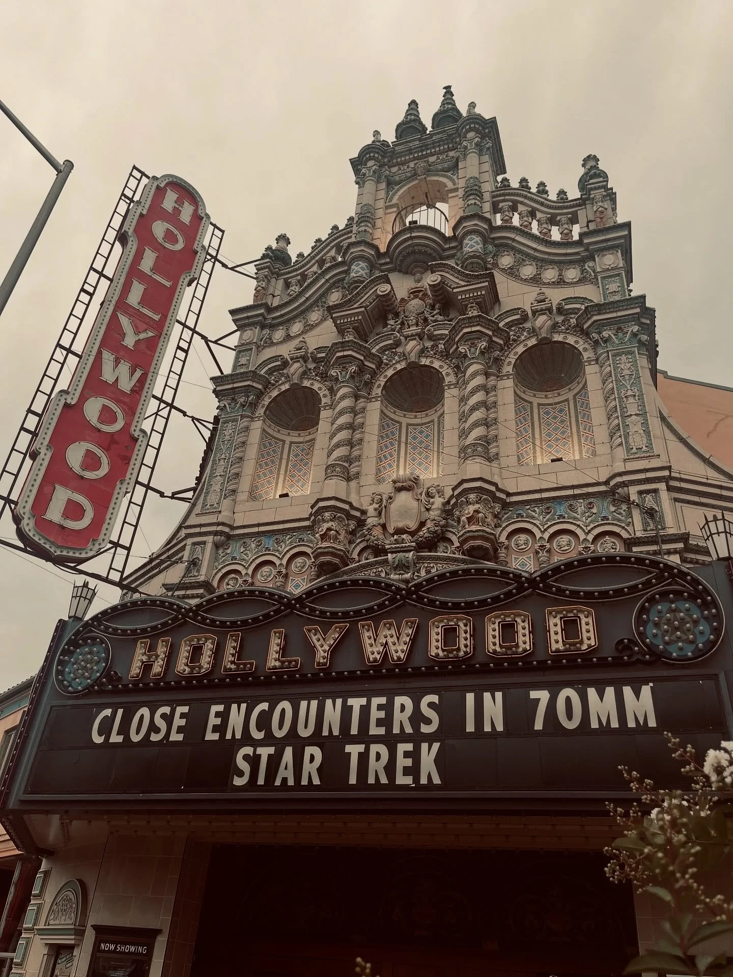 @tinshedgardencafe goes to the movies! Earlier this year the Tin Shed decided to become a &lsquo;Business Benefactor&rsquo; of the Hollywood Theatre, one of many varieties of membership the nonprofit movie house offers. In case you don&rsquo;t know a