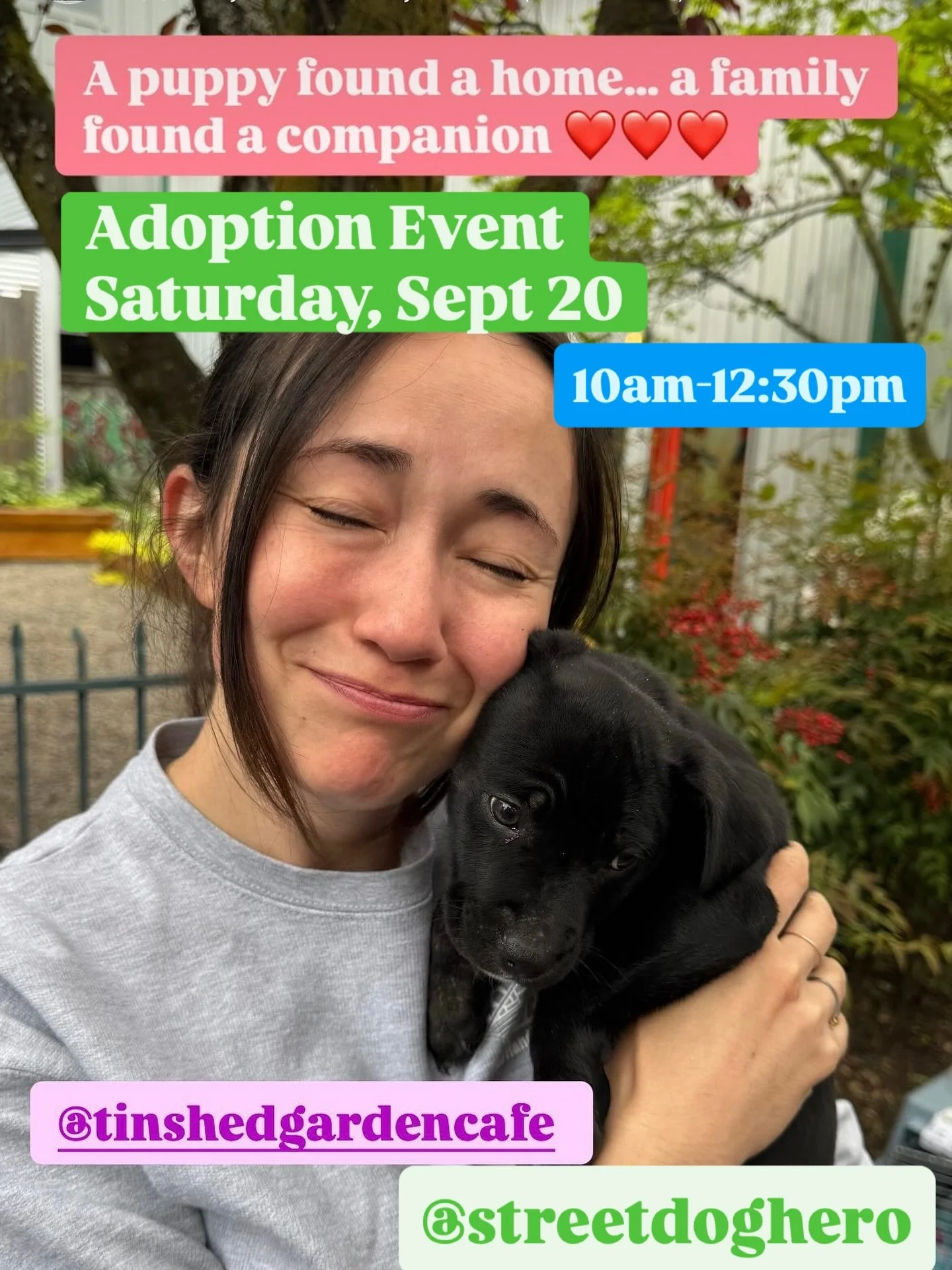 Saturday, September 20th, starting at 10:00am, there will be a pup adoption event sponsored by @streetdoghero in front of @tinshedgardencafe on 1438 NE Alberta St. Come learn what Street Dog Hero is doing these days, enjoy some brunch, and maybe go h
