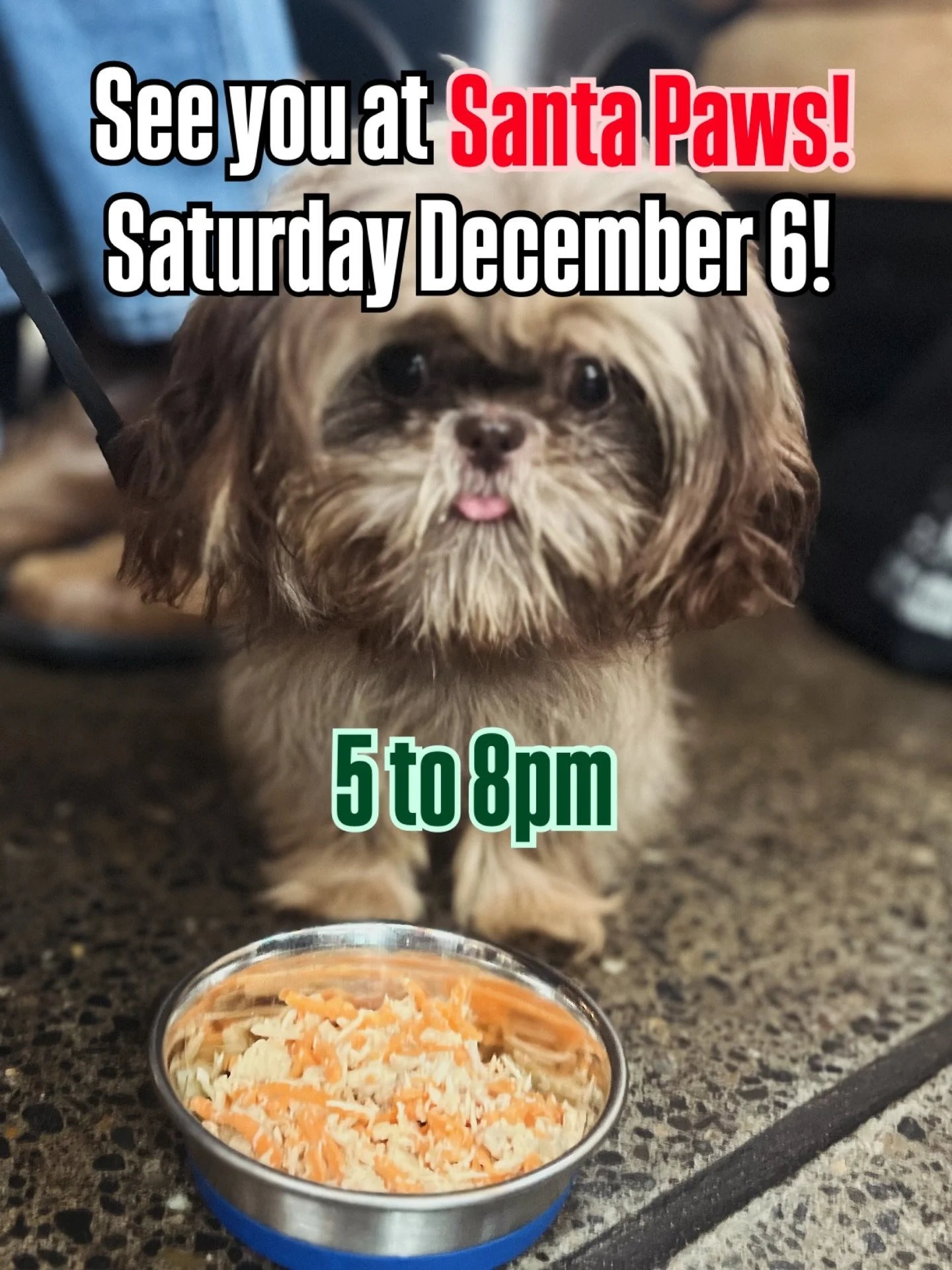 Santa Paws is comin&rsquo; to town!! But do you even know about Santa Paws??? Well&hellip; our annual Santa Paws event is many things wrapped into one. It&rsquo;s a photography event, where families can sit with their pups on Santa&rsquo;s lap and ge