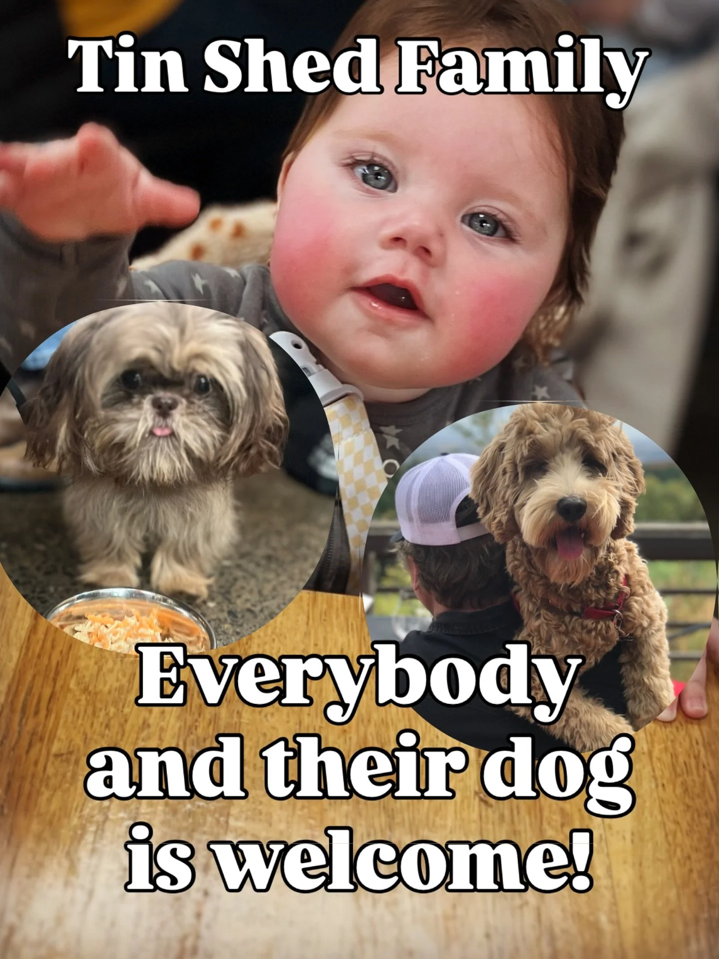 Just a little reminder, what we&rsquo;re about ❤️ @tinshedgardencafe #familydining #dogfriendly