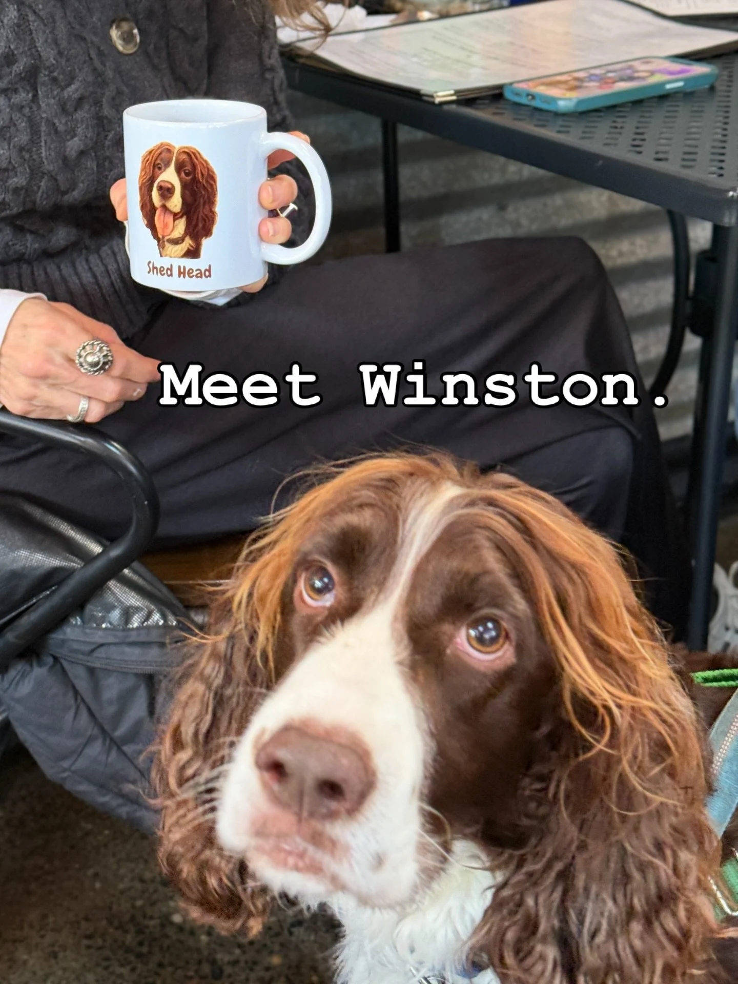 Winston is so cute and clever. He not only dragged his family to breakfast this morning. But he also commissioned a mug &hellip; with his &lsquo;mug&rsquo;&hellip; to be left at the Shed, so that he can be honored every single day. Come drink your co