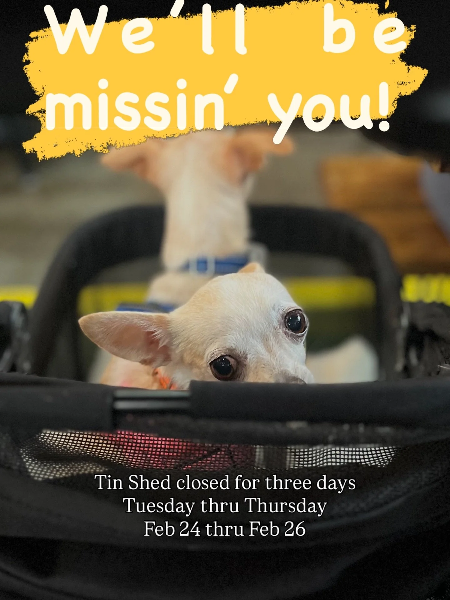 The Tin Shed will be closed for three days, Feb 24 thru Feb 26, Tuesday thru Thursday, for cleaning and maintenance projects. Keep your little darlins at home, we&rsquo;ll miss them, but we look forward to seeing everyone&rsquo;s smiling face on Frid