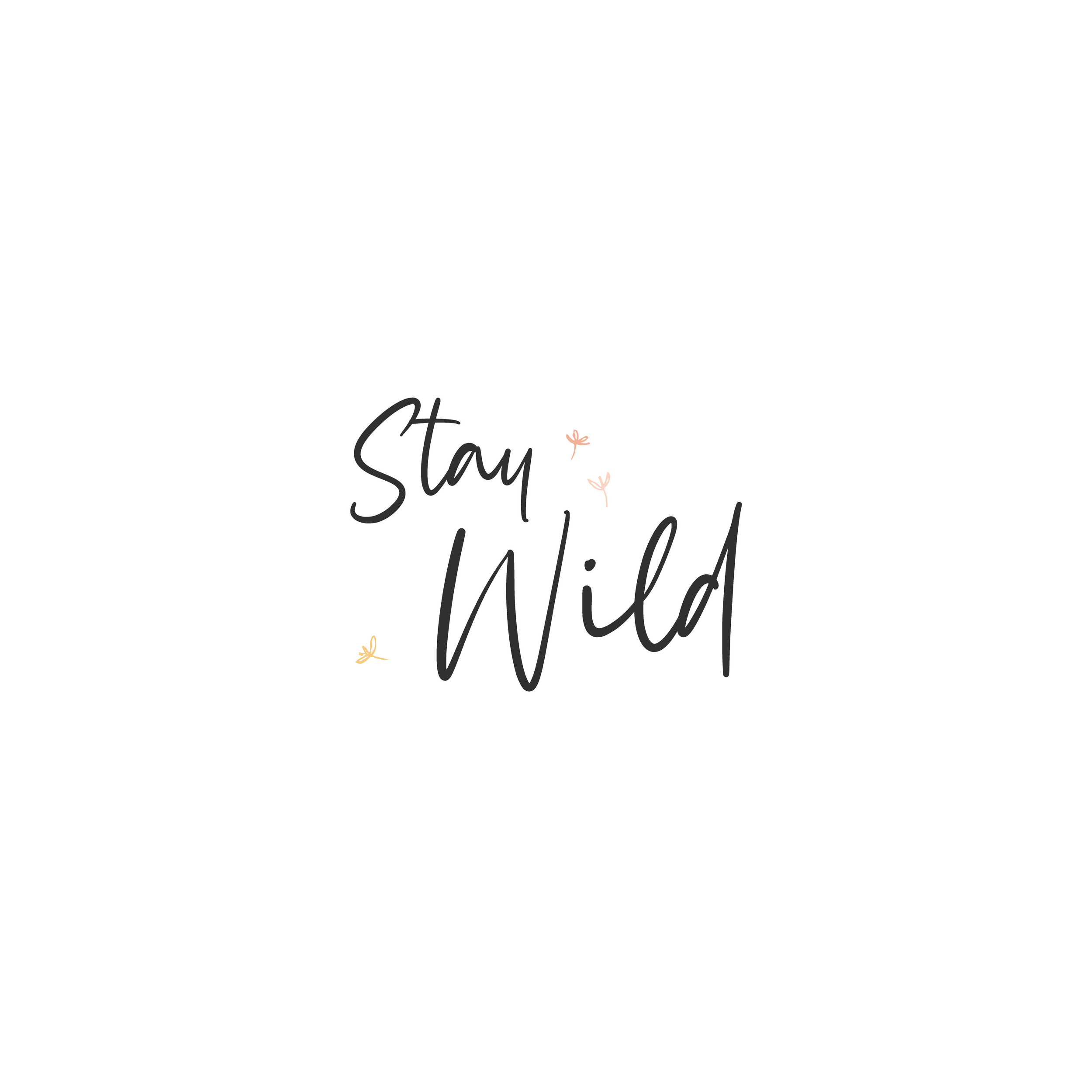 Stay Wild Photography_Square Social Imagery_2.png