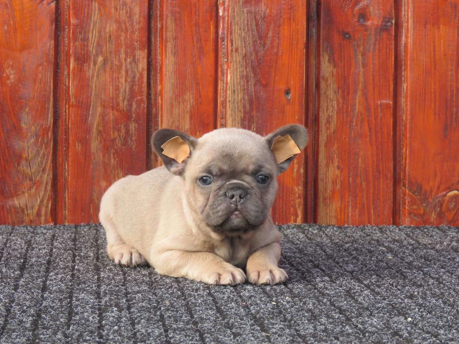 photo 2020. 10. 07. 19 23 56.jpeg