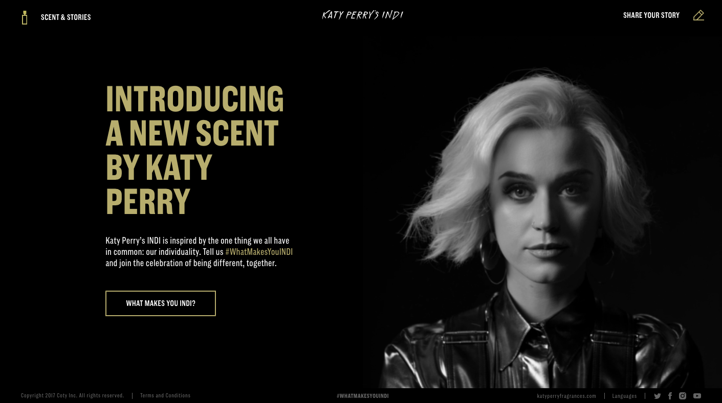 Website+indi.png