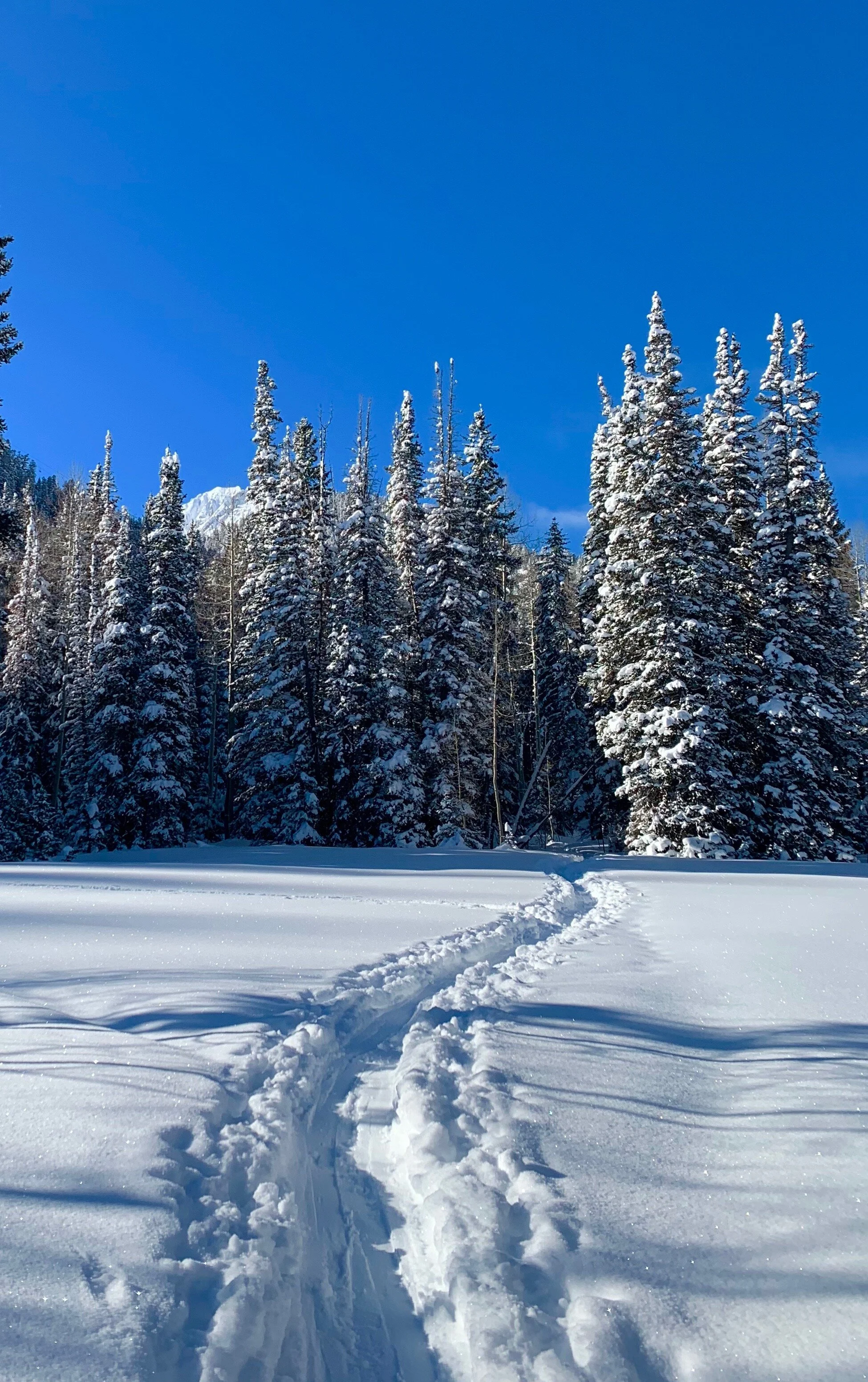 Powder Mag writes about "Project Podium"