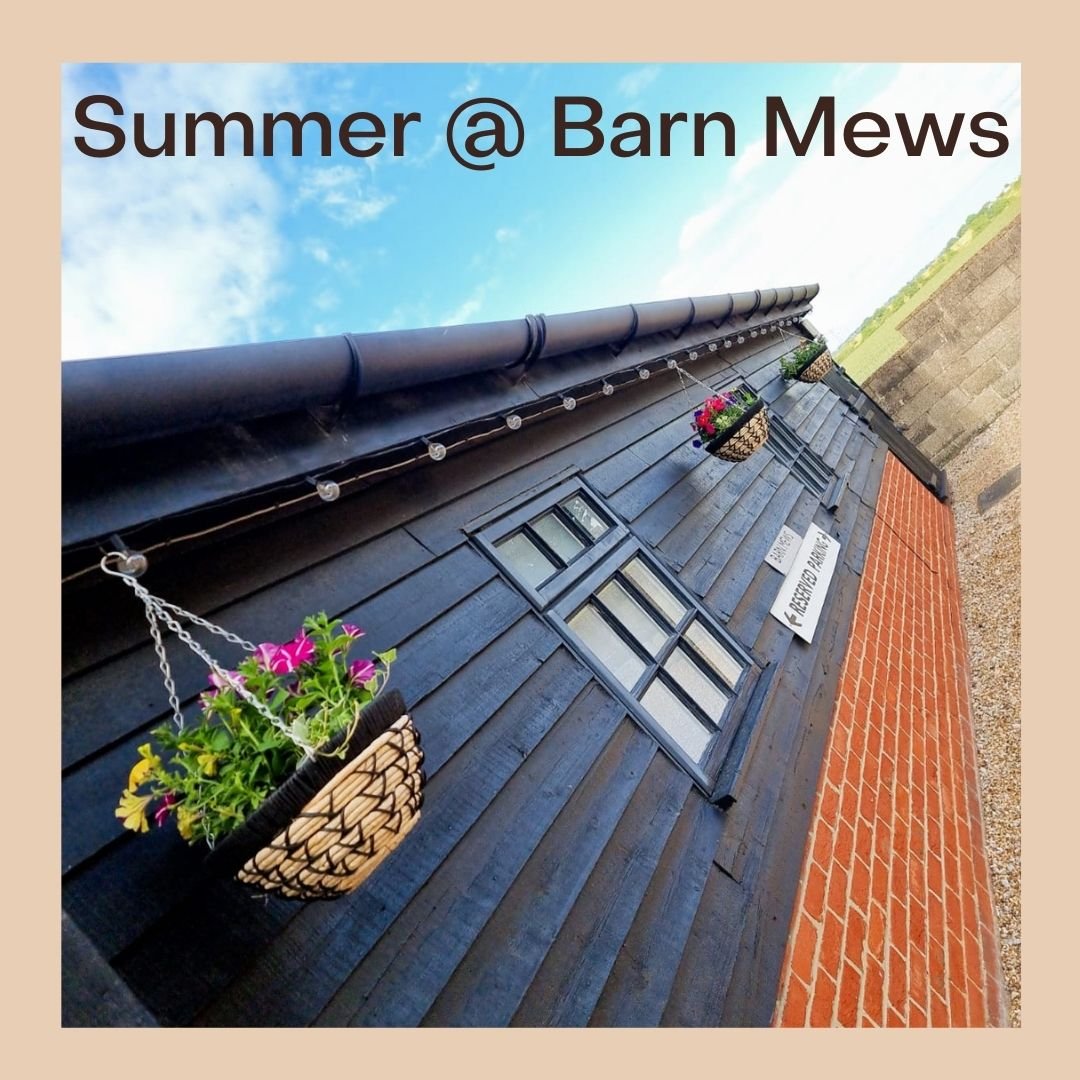 Bringing so many happy colours to our tranquil clinic. #summer2025 #hangingbaskets #colour #happy #wellbeingclinic #basildon #essex #billericay #brentwood
