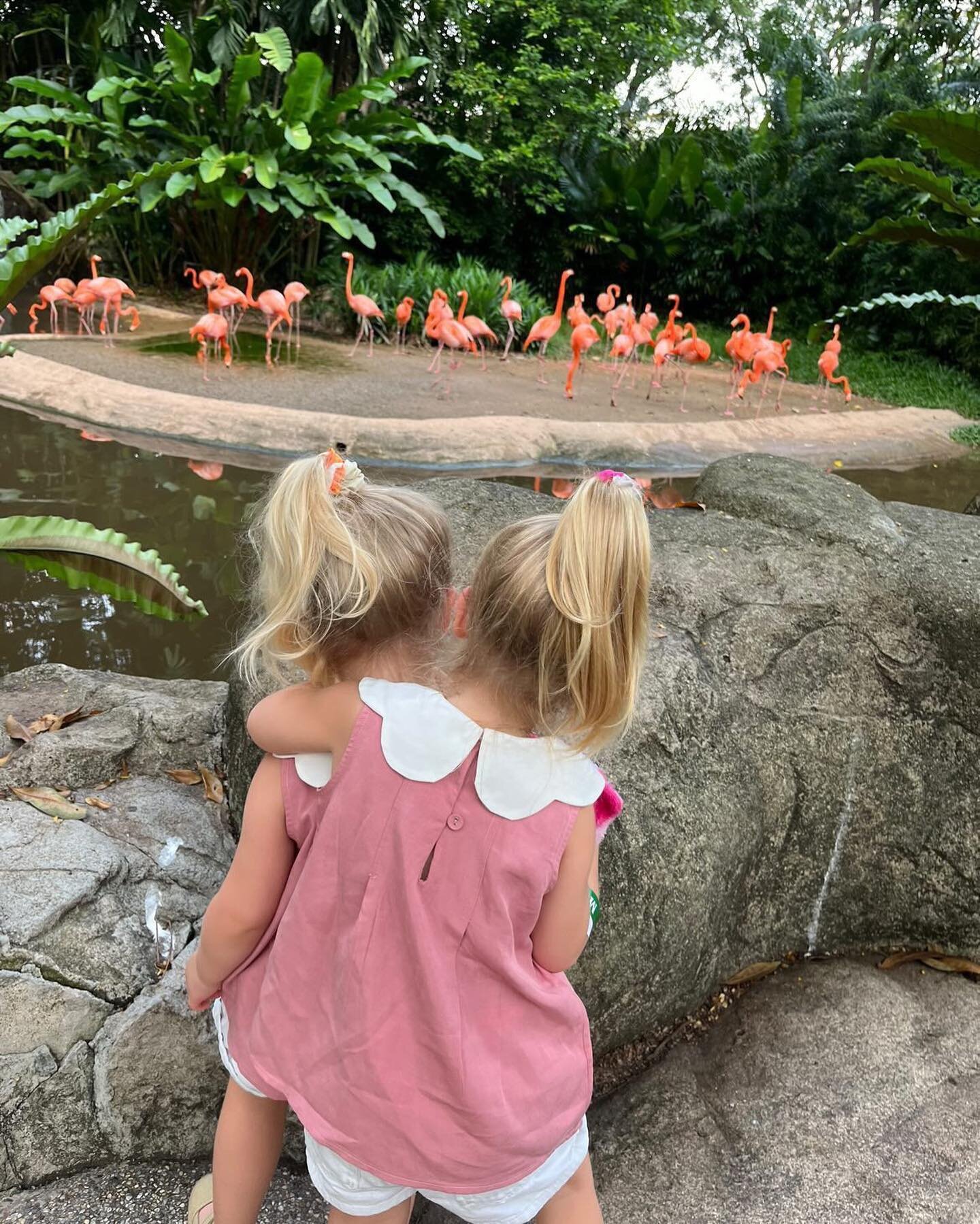 The sweetest Vivi and Vale, twinning in Tiffany&rsquo;s Precious Pintuck Tops at the Bird Park. 

#ChildrenofLuna #COLchildrenswear #childrenoflunasg #colgifting