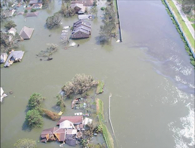 Levee Breach…Hurricane Katrina Emergency Survey