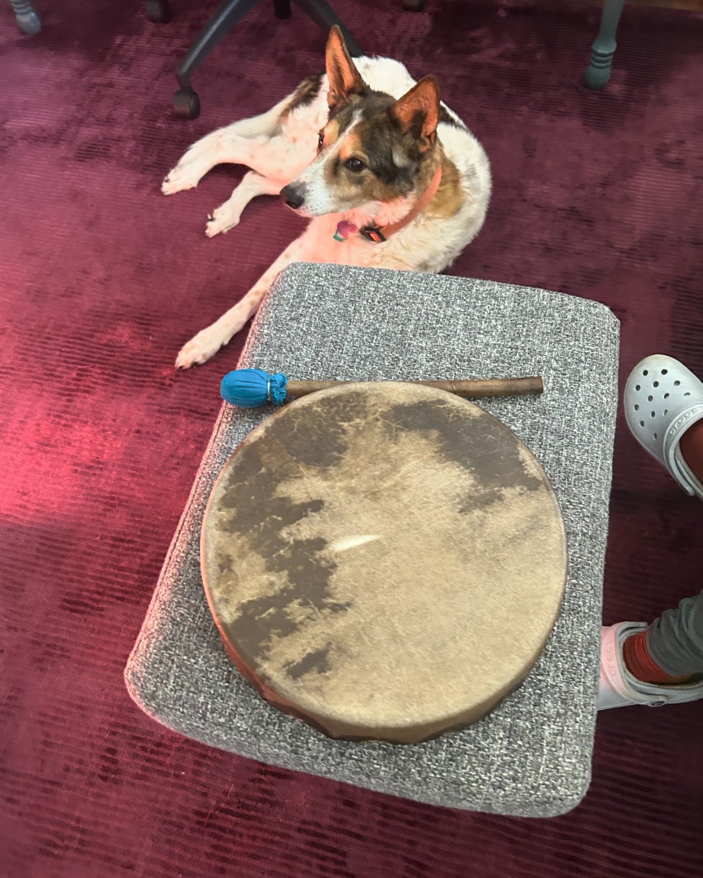 🪇 When your client walks in with a frame drum purchased based solely on intuitive ancestral lineage explorations, you know it's gonna be a good session. Then when Goddess Sophia answers the invitation, you follow somatic trailheads to a little 2-3 y