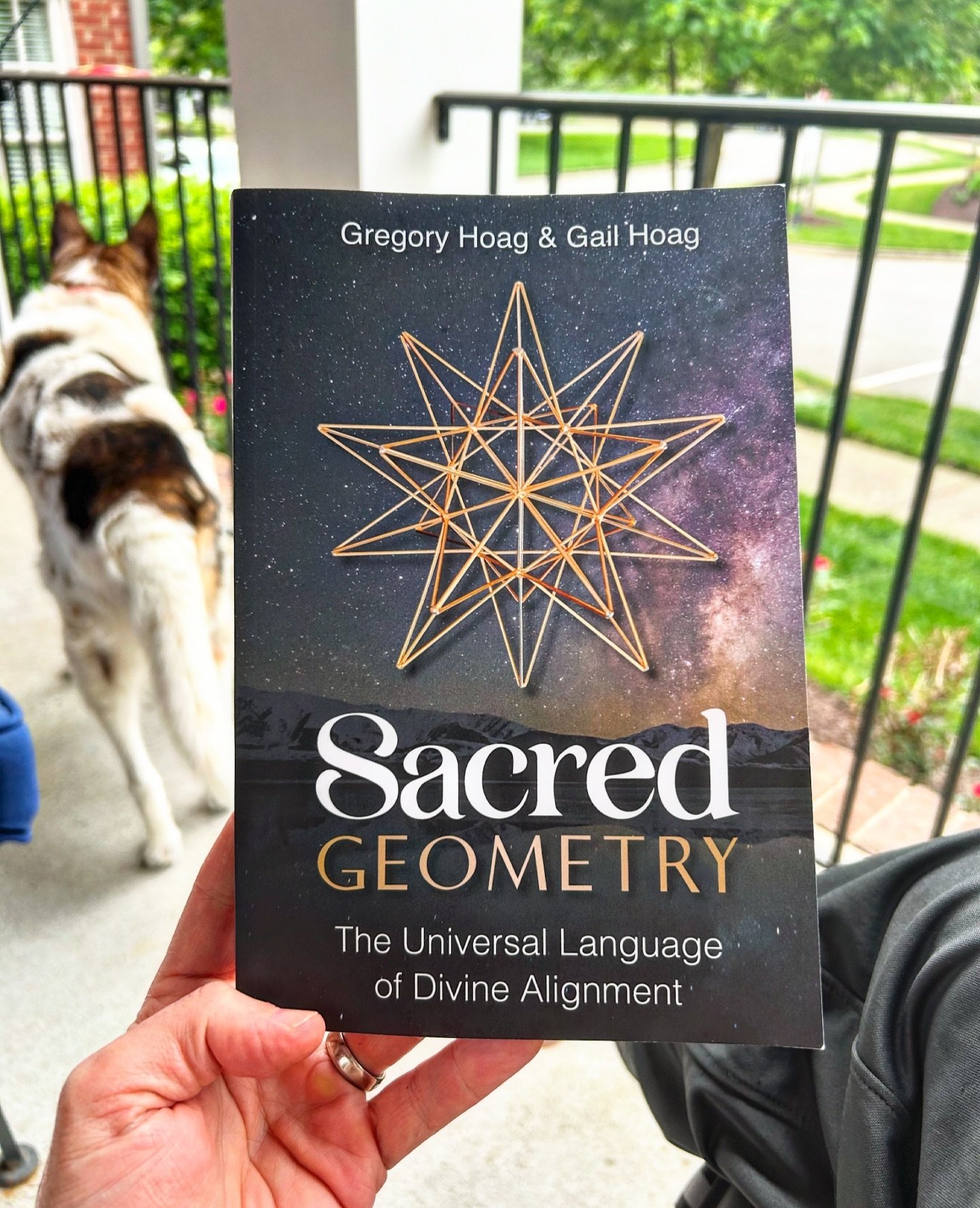 ♾️ Re-familiarizing myself with the language of the multiverse.

#sacredgeometry