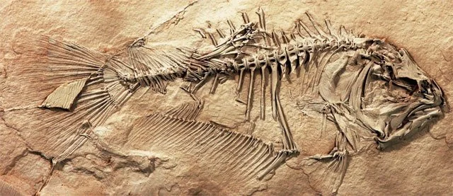 Ser Latinas_ Myria Perez12.jpeg