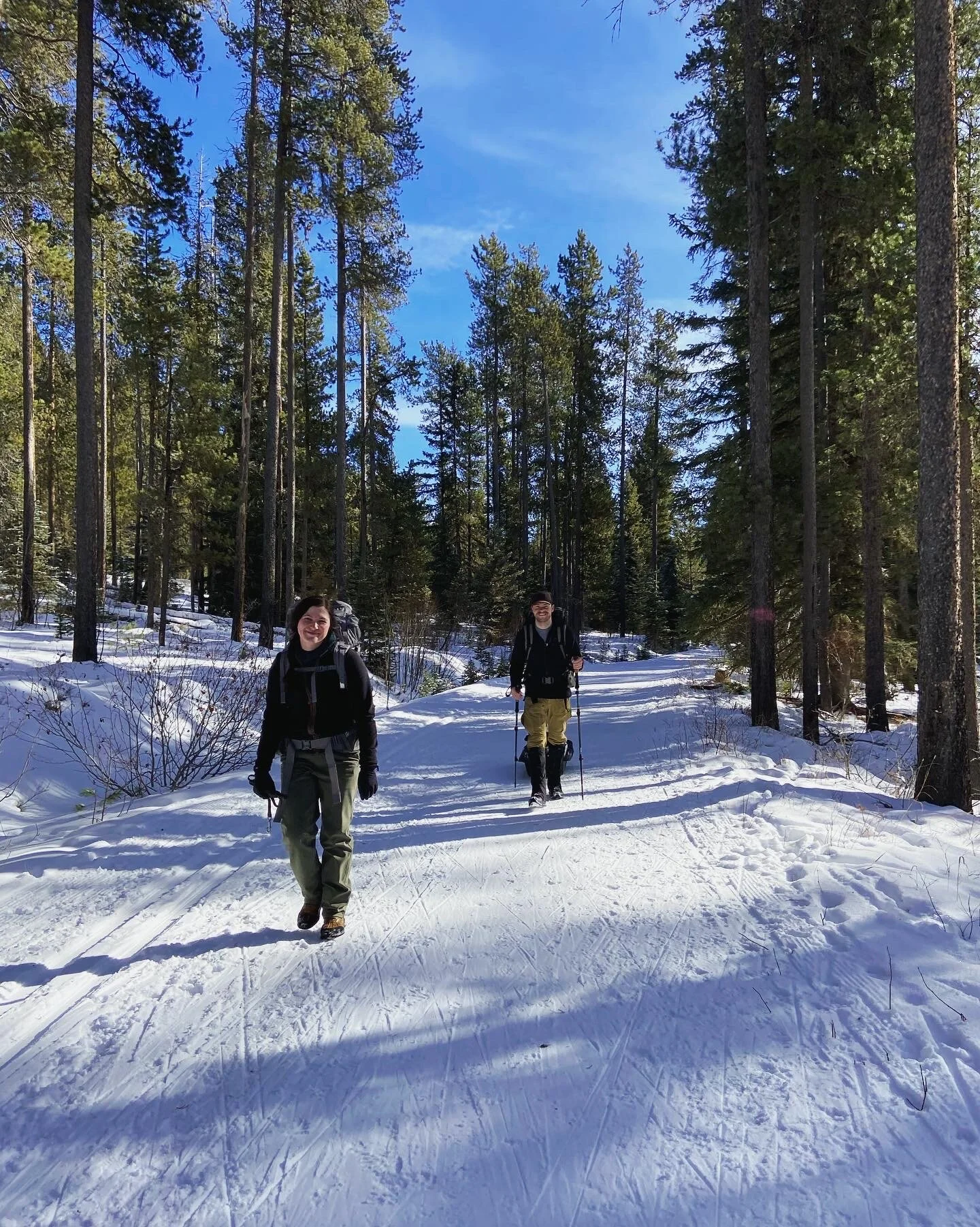 Winter Activities